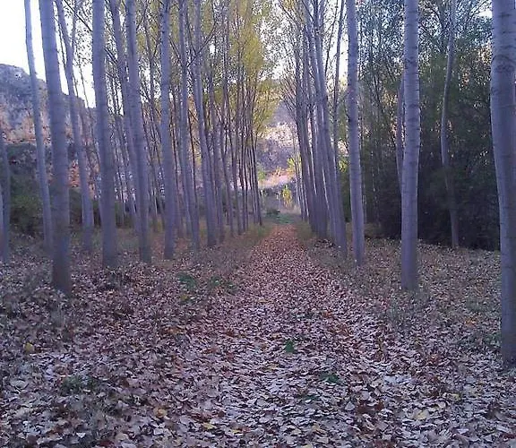 Gasthuis Restaurante De 2*